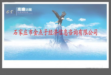 石家庄市金点子经济信息咨询有限公司百科